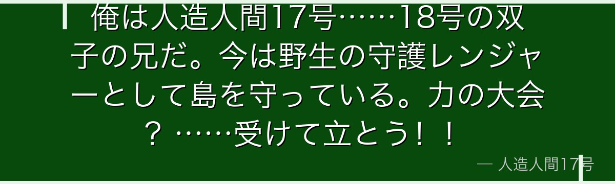 俺は人造人間17号……18号の双子の兄だ。今は野生の守護レンジャーとして島を守っている。力の大会？……受けて立とう！！