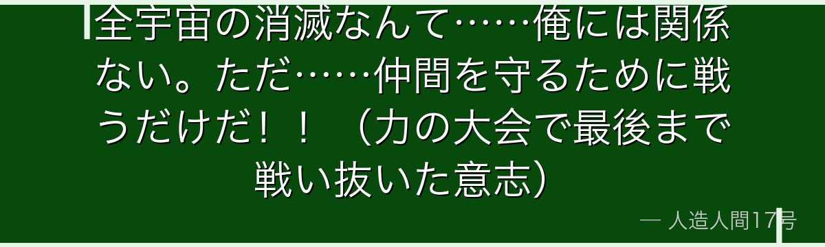 全宇宙の消滅なんて……俺には関係ない。ただ……仲間を守るために戦うだけだ！！（力の大会で最後まで戦い抜いた意志）
