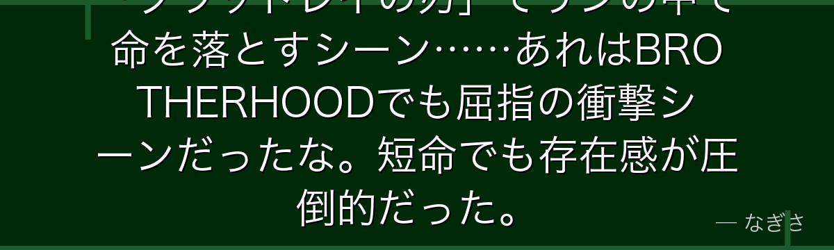「ブラッドレイの刃」でリンの中で命を落とすシーン……あれはBROTHERHOODでも屈指の衝撃シーンだったな。短命でも存在感が圧倒的だった。