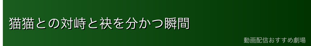猫猫との対峙と袂を分かつ瞬間