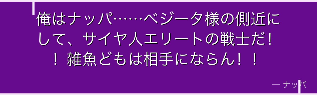 俺はナッパ……ベジータ様の側近にして、サイヤ人エリートの戦士だ！！雑魚どもは相手にならん！！