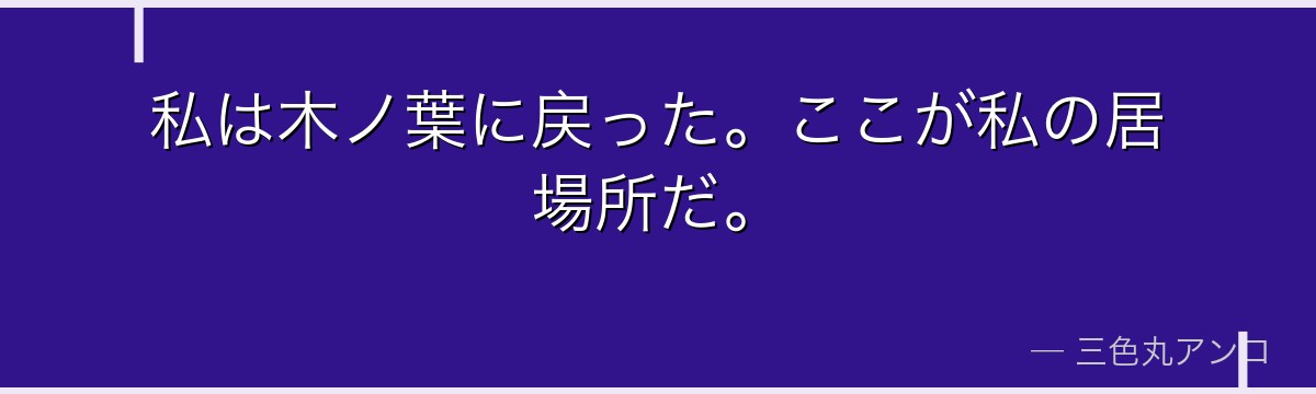 私は木ノ葉に戻った。ここが私の居場所だ。