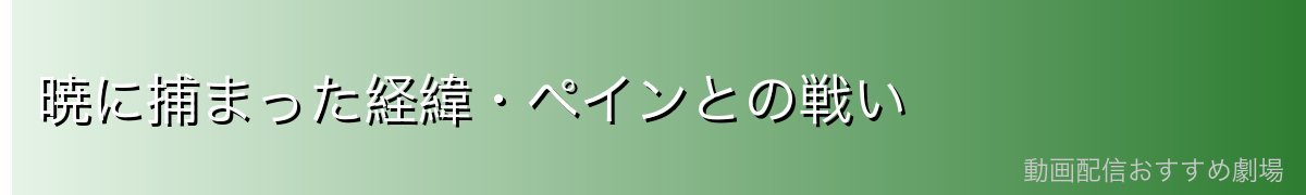 暁に捕まった経緯・ペインとの戦い