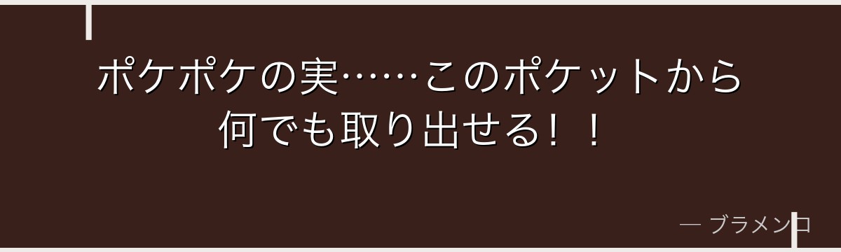 ポケポケの実……このポケットから何でも取り出せる！！