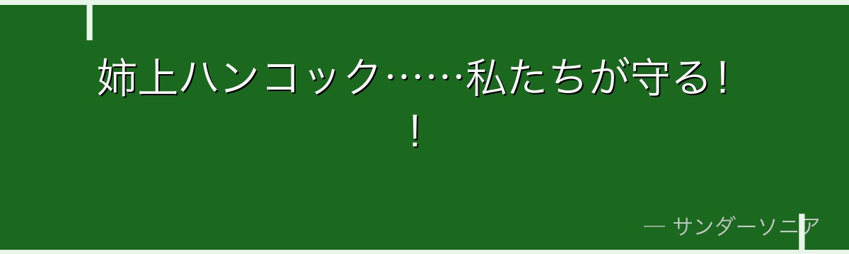 姉上ハンコック……私たちが守る！！