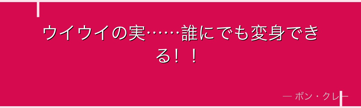 ウイウイの実……誰にでも変身できる!!