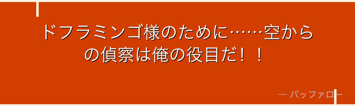ドフラミンゴ様のために……空からの偵察は俺の役目だ！！