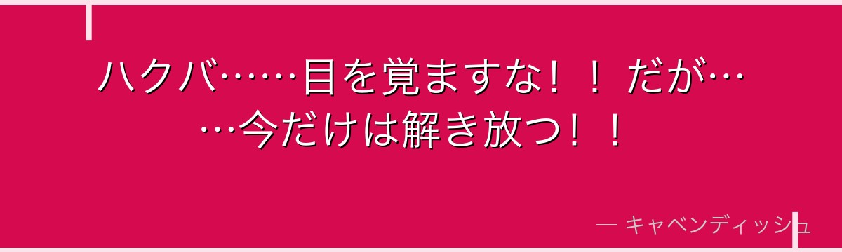 ハクバ……目を覚ますな！！だが……今だけは解き放つ！！