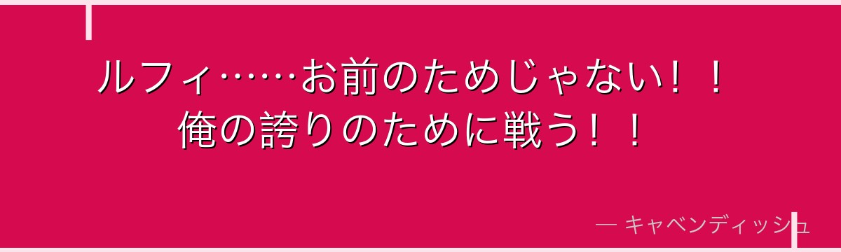 ルフィ……お前のためじゃない！！俺の誇りのために戦う！！