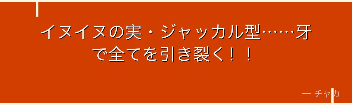 イヌイヌの実・ジャッカル型……牙で全てを引き裂く!!