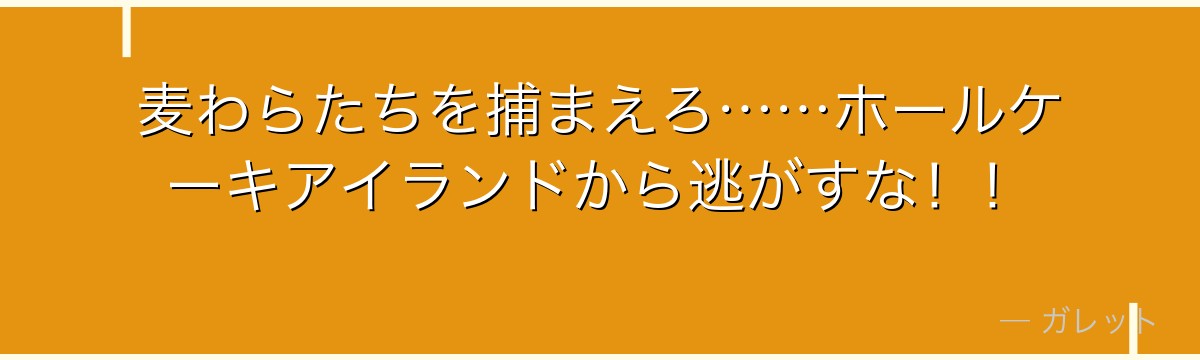 麦わらたちを捕まえろ……ホールケーキアイランドから逃がすな！！