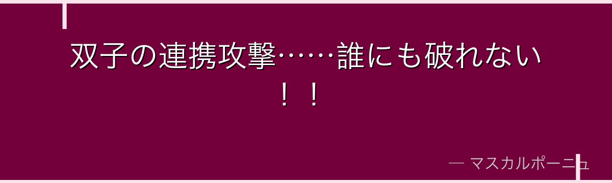 双子の連携攻撃……誰にも破れない！！