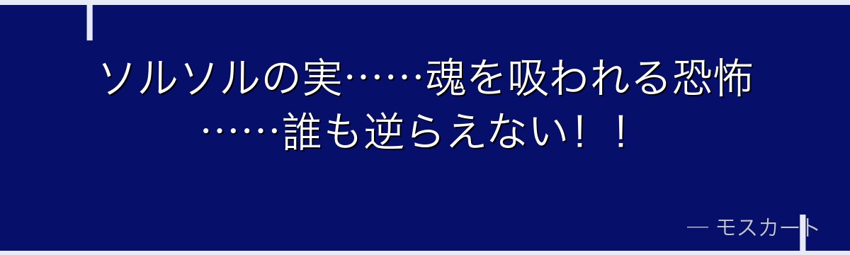 ソルソルの実……魂を吸われる恐怖……誰も逆らえない！！