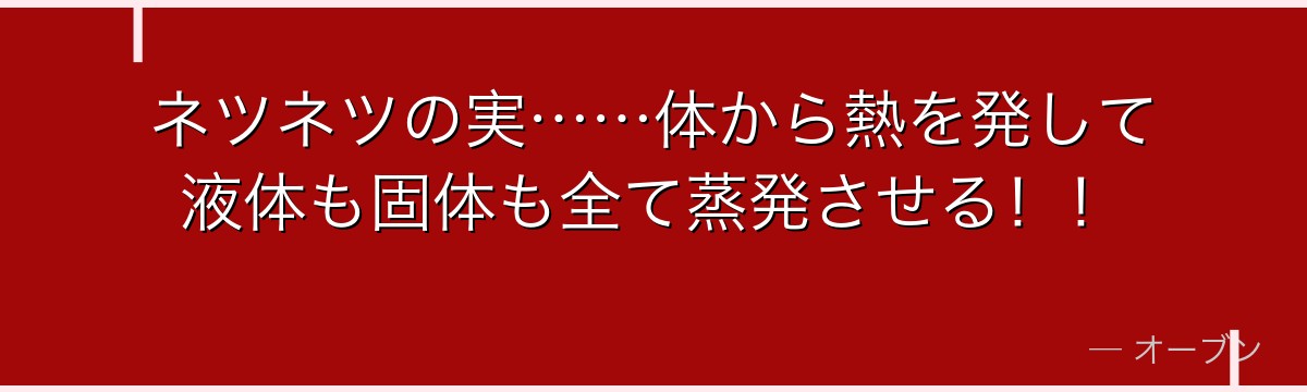 ネツネツの実……体から熱を発して液体も固体も全て蒸発させる!!