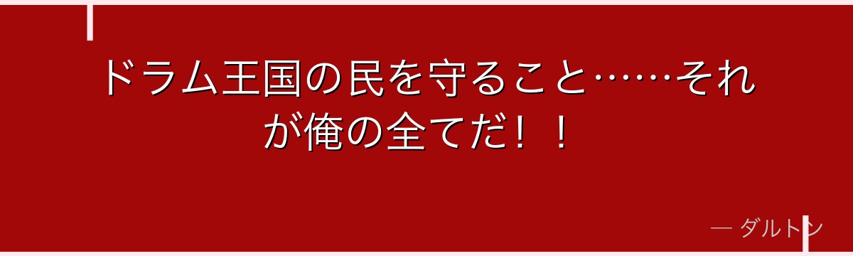 ドラム王国の民を守ること……それが俺の全てだ！！