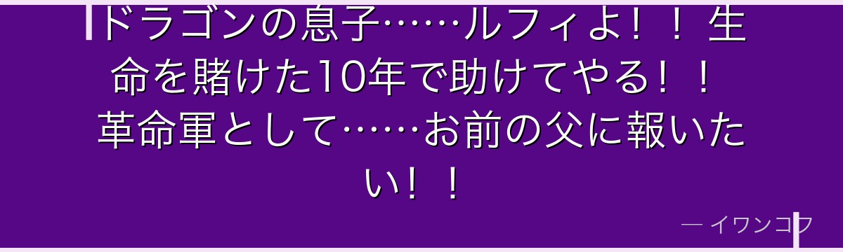 ドラゴンの息子……ルフィよ！！生命を賭けた10年で助けてやる！！革命軍として……お前の父に報いたい！！