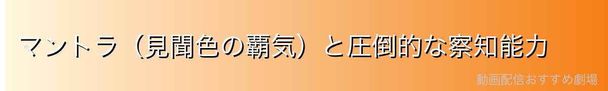 マントラ（見聞色の覇気）と圧倒的な察知能力
