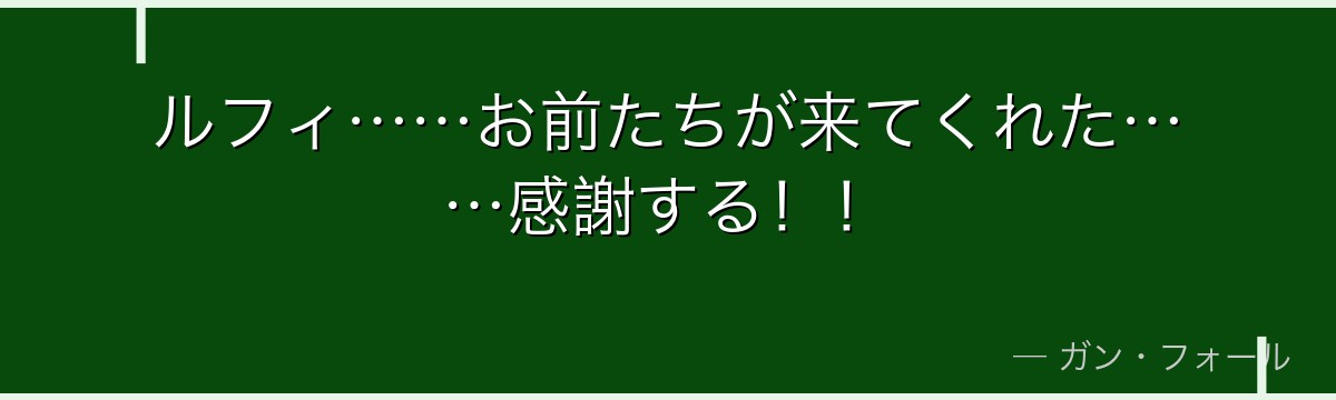ルフィ……お前たちが来てくれた……感謝する！！