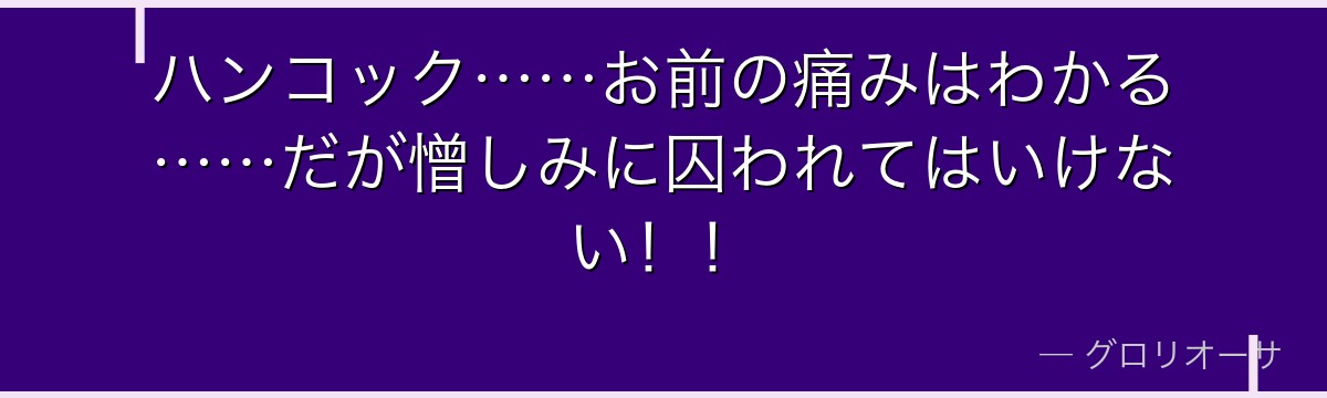 ハンコック……お前の痛みはわかる……だが憎しみに囚われてはいけない！！