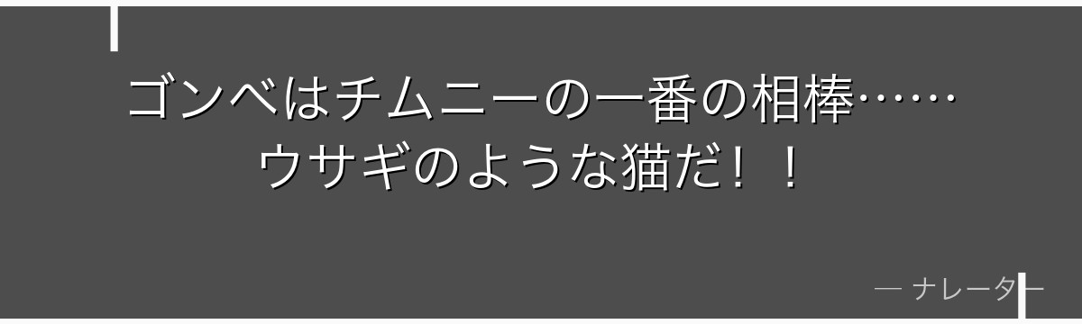 ゴンベはチムニーの一番の相棒……ウサギのような猫だ！！