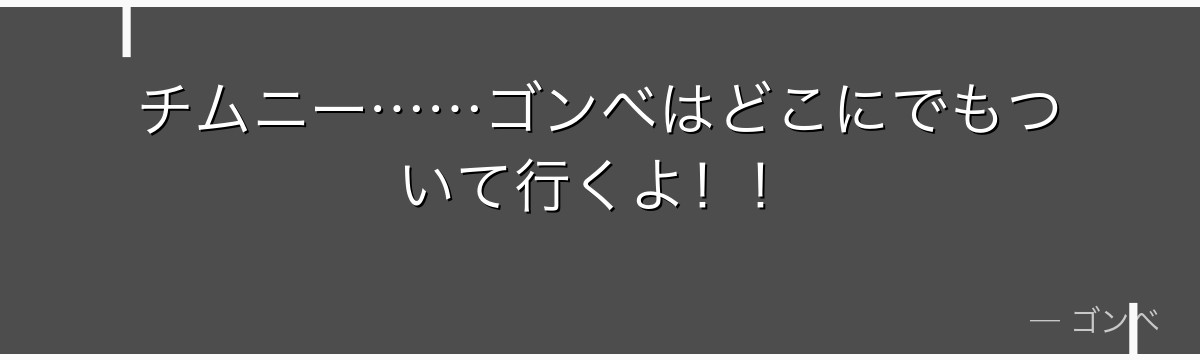 チムニー……ゴンベはどこにでもついて行くよ！！