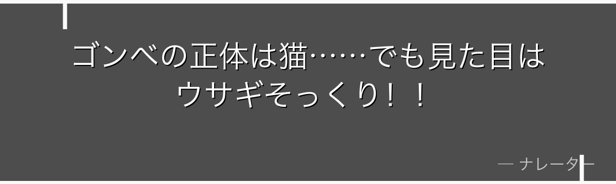 ゴンベの正体は猫……でも見た目はウサギそっくり！！