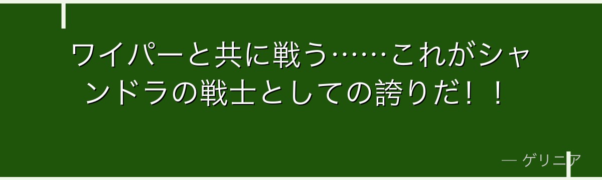 ワイパーと共に戦う……これがシャンドラの戦士としての誇りだ!!