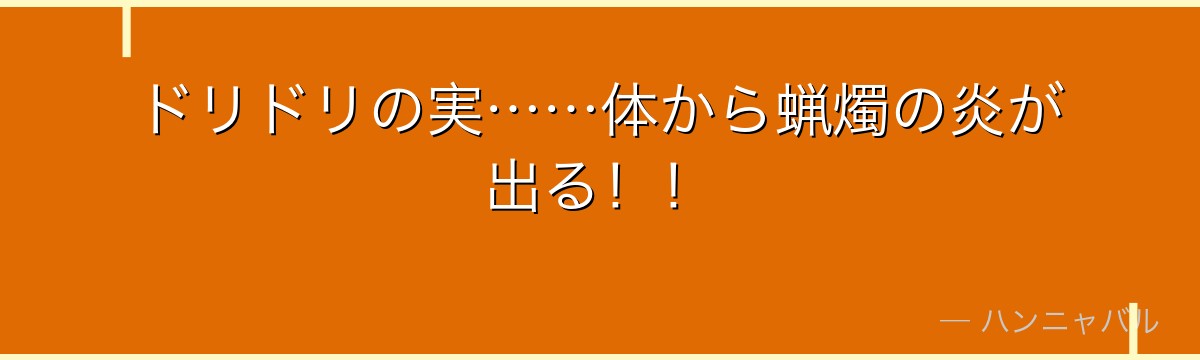 ドリドリの実……体から蝋燭の炎が出る!!