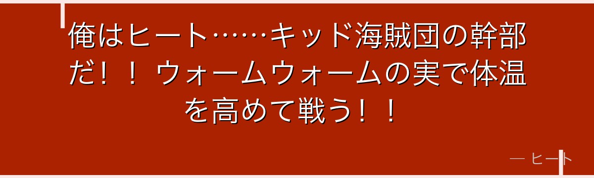 俺はヒート……キッド海賊団の幹部だ！！ウォームウォームの実で体温を高めて戦う！！