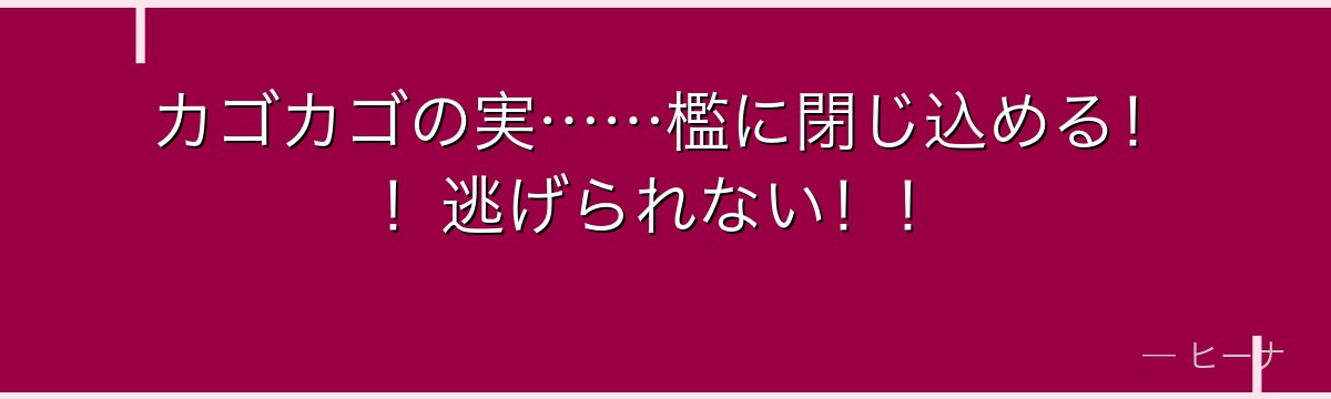 カゴカゴの実……檻に閉じ込める!!逃げられない!!