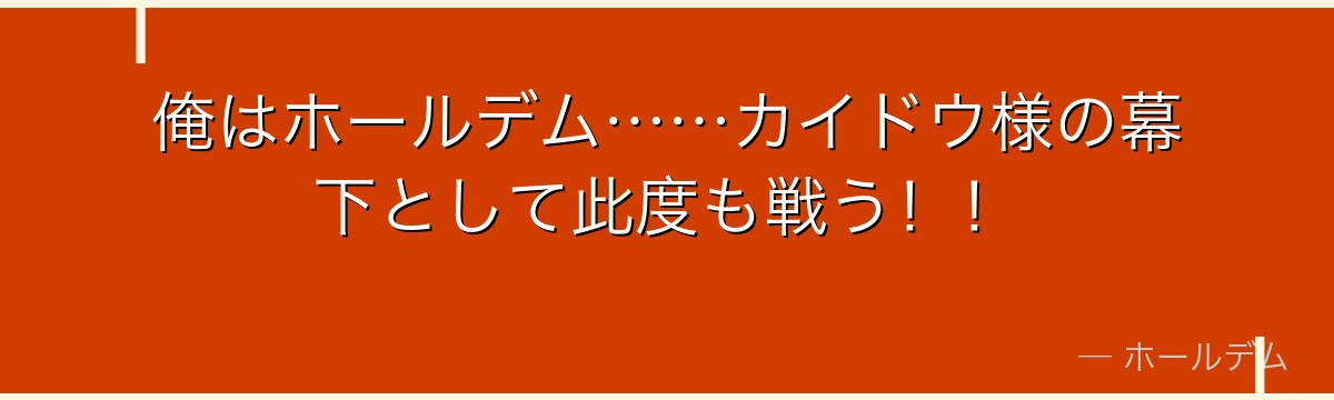 俺はホールデム……カイドウ様の幕下として此度も戦う！！