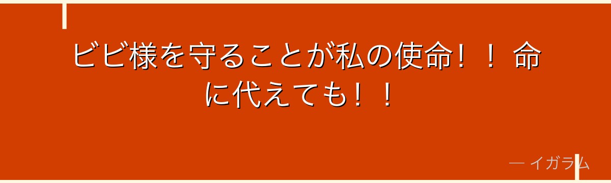ビビ様を守ることが私の使命!!命に代えても!!