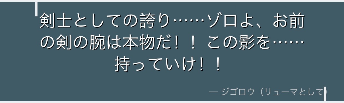 剣士としての誇り……ゾロよ、お前の剣の腕は本物だ!!この影を……持っていけ!!