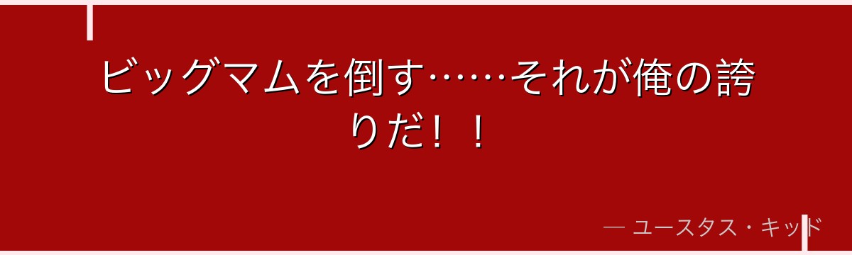 ビッグマムを倒す……それが俺の誇りだ！！