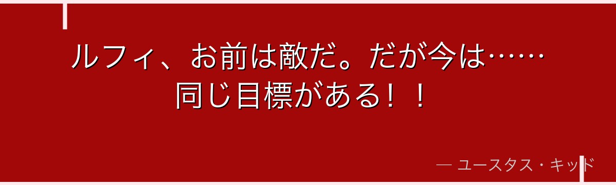 ルフィ、お前は敵だ。だが今は……同じ目標がある！！