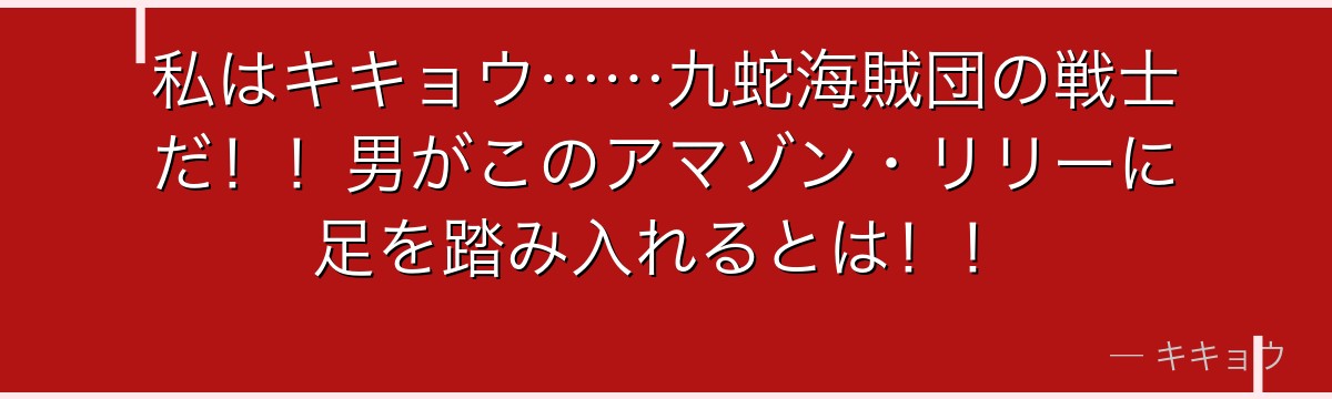 私はキキョウ……九蛇海賊団の戦士だ!!男がこのアマゾン・リリーに足を踏み入れるとは!!