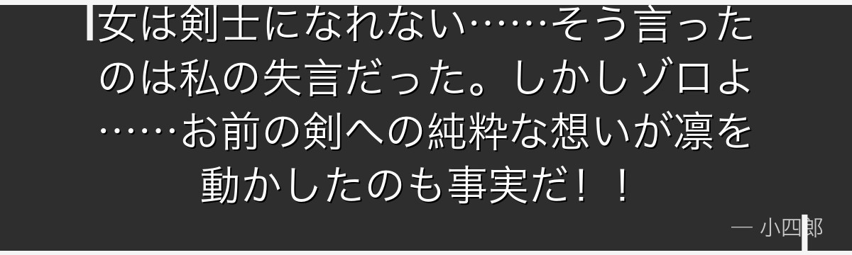 女は剣士になれない……そう言ったのは私の失言だった。しかしゾロよ……お前の剣への純粋な想いが凛を動かしたのも事実だ！！