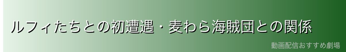 ルフィたちとの初遭遇・麦わら海賊団との関係