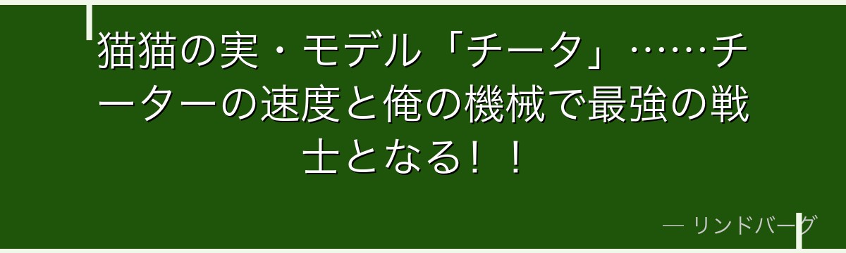 猫猫の実・モデル「チータ」……チーターの速度と俺の機械で最強の戦士となる！！