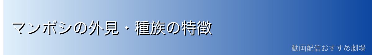 マンボシの外見・種族の特徴