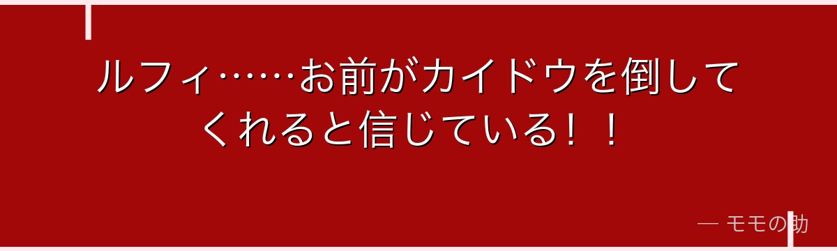 ルフィ……お前がカイドウを倒してくれると信じている!!