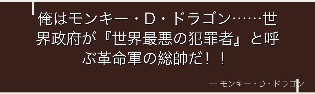 俺はモンキー・D・ドラゴン……世界政府が『世界最悪の犯罪者』と呼ぶ革命軍の総帥だ!!