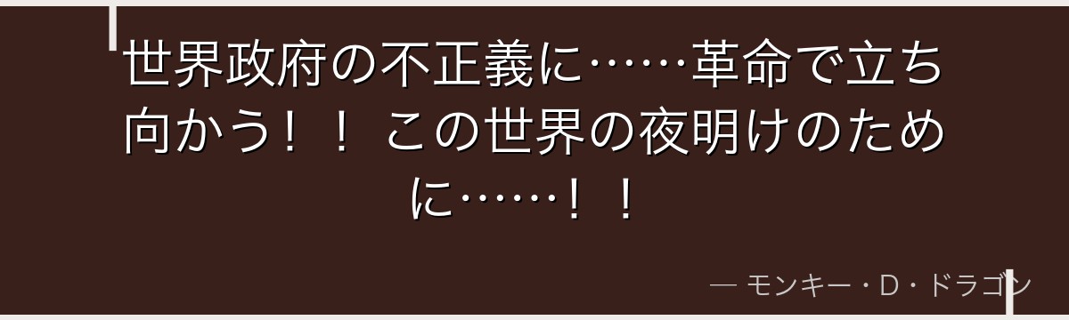 世界政府の不正義に……革命で立ち向かう!!この世界の夜明けのために……!!