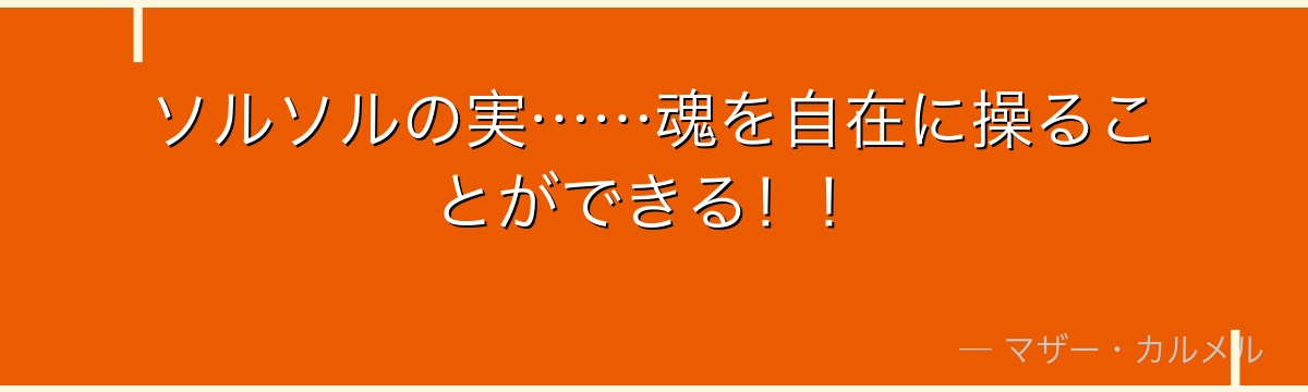 ソルソルの実……魂を自在に操ることができる！！