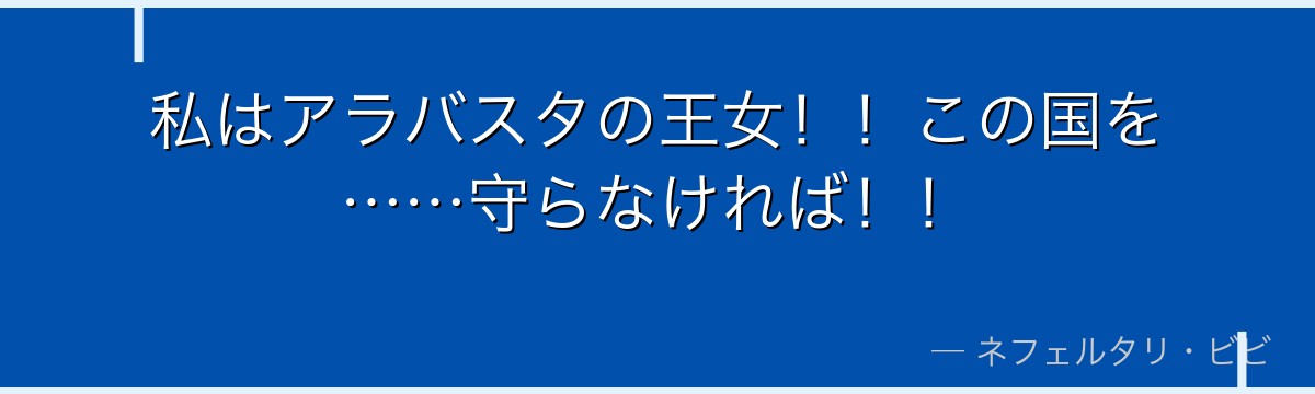 私はアラバスタの王女！！この国を……守らなければ！！