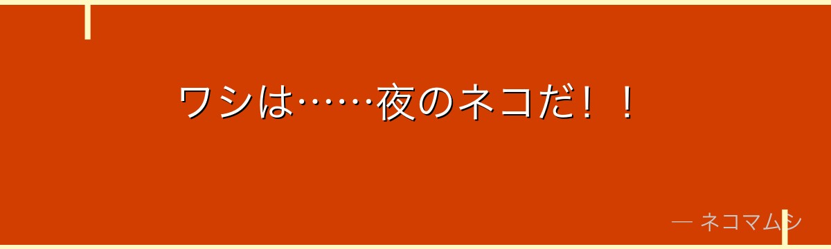 ワシは……夜のネコだ！！