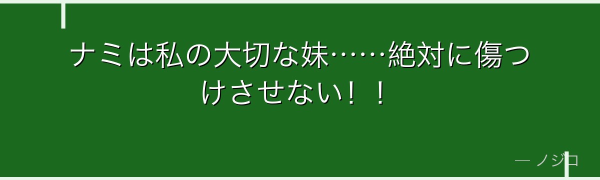 ナミは私の大切な妹……絶対に傷つけさせない！！