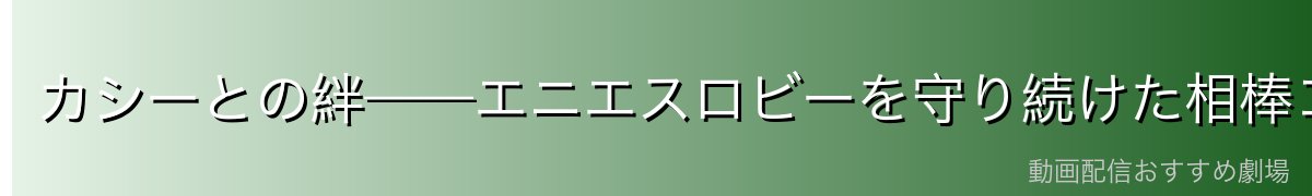 カシーとの絆——エニエスロビーを守り続けた相棒コンビ