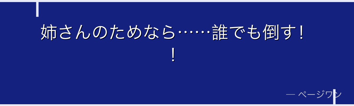 姉さんのためなら……誰でも倒す!!