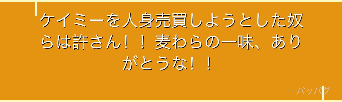 ケイミーを人身売買しようとした奴らは許さん！！麦わらの一味、ありがとうな！！